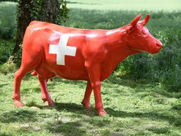 Schweizer Kuh